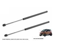 MOLLE A GAS/AMMORTIZZATORI COFANO BAGAGLIAIO SMART FORTWO E CITY-COUPE'