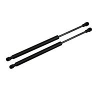 Molle A Gas Cancello Per BMW Per Serie 3 E46 2001-2006 Ammortizzatori A Gas Per Portellone Posteriore Barre Di Supporto 51248254281 51244212802 Pistoncini Portellone