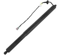 Molle A Gas Cancello Per FORD Per Edge 2015 2016 2017 2018 Supporto Di Sollevamento Per Portellone Posteriore Elettrico FT4Z14B35-1A10 FT4Z5840-6A10B Pistoncini Portellone(1Left Rear)