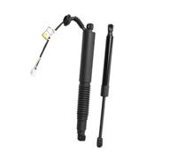 Molle A Gas Cancello Per Tesla Per Model 3 2021-2023 2 Pezzi Montante Posteriore Sinistro Destro Portellone Elettrico Per Bagagliaio 1551488-99-B Pistoncini Portellone