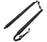 Molle A Gas Cancello Posteriore Ammortizzatore A Gas Per Portellone Posteriore Elettrico Sinistro E Destro Per BMW X3 F25 18i 20i 28i 35i 51247232003 51247232004