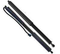 Molle A Gas Cancello Posteriore Supporto Portellone Posteriore Elettrico Sinistro Molla Ad Aria Supporto Per Portellone Posteriore Motore Per BMW X3 G01 2017-2020, 51247497482(Pair)