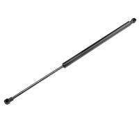 Molla a gas cofano AE-TY-001 NTY per LEXUS GS