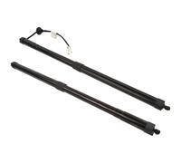 Molle A Gas Cofano Posteriore 2 Pz FA1BR402A55BA Asta Di Supporto Portellone Posteriore Elettrico Non Caricato Per Lincoln Per MKX 2016-2018 Portellone Pistoncini