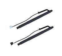 Molle A Gas Cofano Posteriore Elettrico Per BMW X6 E71 2008-2014 51247332697 51247332698 Sinistra E Destra Supporto Per Ascensore Portellone Elettrico