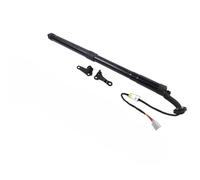 Molle a Gas per Bagagliaio OE 6891079016 6892079016 Supporto per Montante di Sollevamento per portellone Posteriore Elettrico Automatico per Lexus NX300h NX200t (RH)