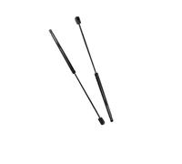 Molle a Gas Per Ford Per Lincoln Per Mercury 2007 2008 2009 Tronco Ammortizzatori A Gas Spring Bar Ammortizzatore Posteriore Puntone Asta Di Pressione Ammortizzatori Posteriori(Argento)