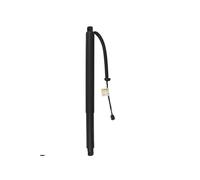 Molle A Gas Per Kia per ricambi KX7 2016-2020, ammortizzatori a gas per portellone posteriore elettrico 81770C0100 81780C0100 Ammortizzatori A Gas Elettrici(Rear Right Tailgate)