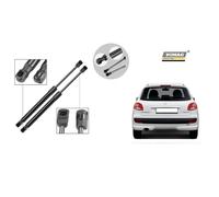 Molle a Gas Pistoncini Portellone Cofano Posteriore per Peugeot 206 2A/C