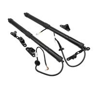 Molle A Gas Pistoni 6892009010 6892009011 Coppia Di Supporti A Gas Per Portellone Elettrico Per Toyota Per RAV4 2013-2016 689100R051 Molle a Gas Portellone(A PAIR)