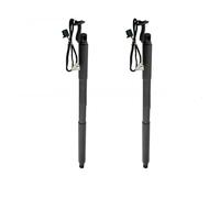 Molle A Gas Pistoni Per Benz GLE 320 350 450 C292 15-18 Coppia Ammortizzatori A Gas Portellone Elettrico 2928900300 2928900400 Supporto Sollevatore Portellone Elettrico