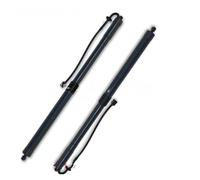 Molle A Gas Pistoni Per Cayenne 92A 958 2011-2014 95851285104 Coppia Supporti A Gas Portellone Posteriore Elettrico Per Montanti A Gas Portellone Posteriore Elettrico(Pair)