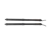 Molle A Gas Pistoni Per RAV4 2018-2022 Coppia Ammortizzatori A Gas Portellone Posteriore Elettrico 68910-09021/68920-09021 Supporto Sollevamento Portellone Elettrico(Right rear)