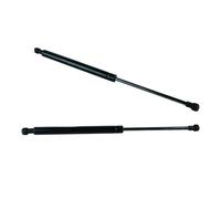 Molle A Gas Pistoni Portellone Per Serie 3 Per E90 Per E91 Per E92 Per E93 2004-2013 Cofano Anteriore Gas Springs 51237060550 Ricambi Auto