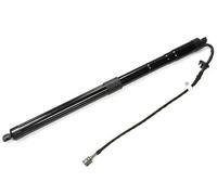 NTY Motore Elettrico Portellone Posteriore Sinistra Adatto A per BMW X4 F26