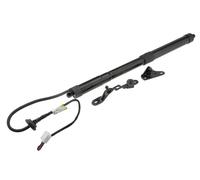 NTY POSTERIORE SX AE-TY-033 Motore elettrico Cofano posteriore