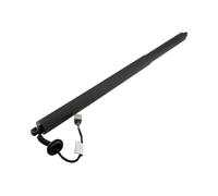 Molla a gas bagagliaio posteriore Sx AE-FR-065 NTY per FORD KUGA II