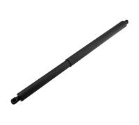 NTY Ammortizatore pneumatico, Cofano bagagli /vano carico compatibile con FORD