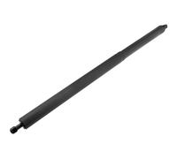 NTY Ammortizatore pneumatico, Cofano bagagli /vano carico compatibile con FORD