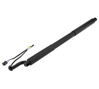 NTY AE-PS-004 Motore elettrico, Cofano posteriore