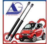 Molle a Gas Portellone Pistoncini Cofano Baule Posteriore Smart 450 - 98 al 2007