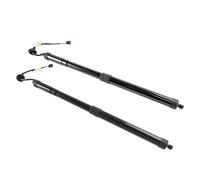 Molle a Gas Portellone Posteriore Asta Di Supporto Portellone Posteriore Elettrico Sinistro + Destro Non Carica 39085565 39085566 Per Opel Per Insignia B 2018-2019 Molla a gas(LH+RH)