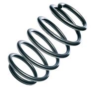 Molle Anteriore Ricambio OE R10111 per Opel Corsa 312 310 - 85346 - 36-218547 -