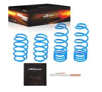 Molle Assetto for Citroën Berlingo B9 Multispace 1.6 VTi 120 95 115 110