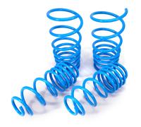 Molle Assetto for Suzuki Swift III 2005-2010 Swift MK3 Lowering Spring