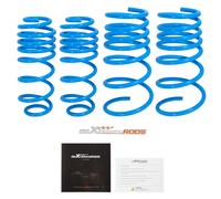 Molle Assetto for Suzuki Swift III 2005-2010 Swift MK3 Lowering Spring