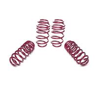 Molle Di Abbassamento Vogtland Per Chevrolet Camaro Gen IV V8 Firebird SS