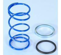 Molle Di Contrasto POLINI Evolution® + Slider: per Moto Ricambi