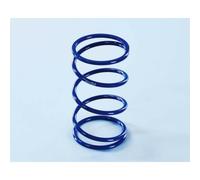 Molle Di Contrasto POLINI per Moto Ricambi Accessori Pezzi