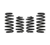 Molle EIBACH Pro Kit E10-15-008-05-22