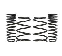 Molle EIBACH Pro Kit E10-82-012-02-22