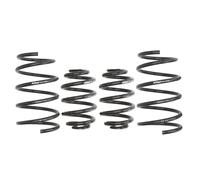 Molle EIBACH Pro Kit E2021-240