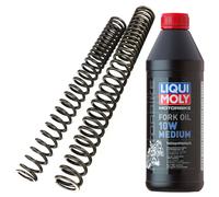 Molle Forcella Set Progressivo YSS di Olio per Suzuki GS 1000 GS1000 Anno Fab.