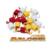 Molle frizione Malossi corsa Set per scooter