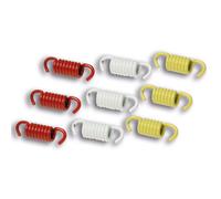 KIT MOLLE MOLLETTINE FRIZIONE MALOSSI PER SUZUKI BURGMAN AN UH 200 250 NEXUS 300