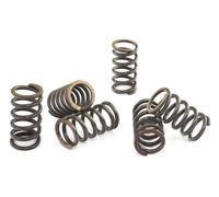 CSK007 KIT MOLLE FRIZIONE RINFORZATE EBC KAWASAKI ZN 700 LTD 1984-1985