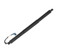 Molle Gas Ammortizzatori Posteriori Per BMW X2 F39 2017 2018 2019 2021 Ammortizzatori Gas Portellone Posteriore Elettrico 51249465654 Supporto Apertura(LH)