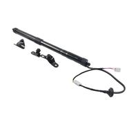 Molle Gas Portellone Pistoncini Coppia Supporti Portellone Posteriore Elettrico Per Toyota Per RAV4 2013-2018 68910-09010 Ammortizzatori A Gas Per Portellone Posteriore Elettrico(Rear Left Tailgate)