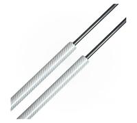 Molle Gas Portellone Pistoncini Montanti Bagagliaio Per Chrysler 300M Sedan 1999-2004 Pollici Supporti Sollevamento Portellone Posteriore Bagagliaio Ammortizzatori Molle A Gas(Silver Carbon Fiber)