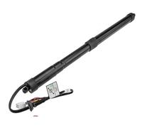 Molle Gas Portellone Pistoncini Supporto Sollevamento Portellone Elettrico Per 2018-2022 Per Toyota Per RAV-4 Coppia Di Ammortizzatori A Gas Portellone Posteriore Elettrico(Right rear)