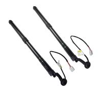 Molle Gas Portellone Posteriore Per L&exus NX300 NX300h AZ10 2018-2021 2x Ammortizzatori Gas Sinistro Destro Portellone Posteriore 6892079017 6891079017(Left and Right)