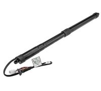 Molle Gas Portellone Posteriore Per Toyota RAV-4 2018-2022, Ammortizzatori Gas 68910-09021/68920-09021 Supporto Sollevamento Portellone Elettrico(Right)