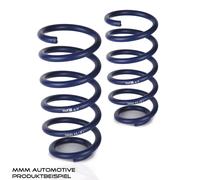 H&R Kit molle assetto 29274-4 per VW Caddy III Estate (2KB, 2KJ, 2CB, 2CJ)