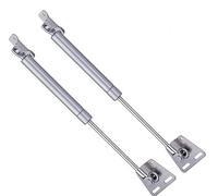 Molle idrauliche a gas, Pack Of 2 Gas Struts For Cabinets And Doors, Silver, Multiple Forces(40N)