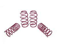 Molle ribassate sportive 500 312 500 Typ 312 USA Version 01.2011 1 -30mm