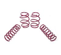 Vogtland Kit Set Molle ribassate assetto 951002 per BMW 5er E39 tuning